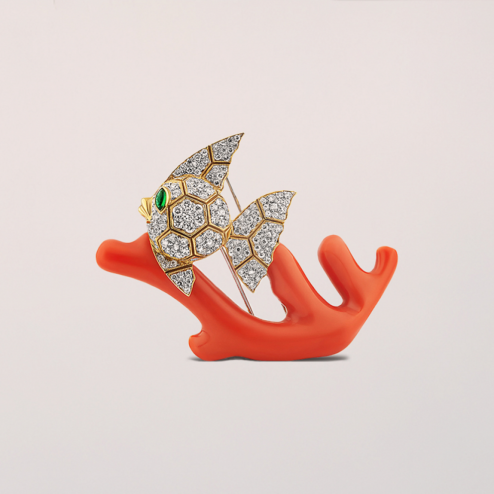 Sunny coral